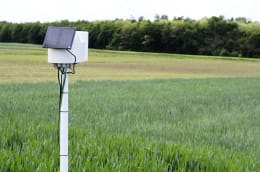 Lifestyle: METOS® Wetterstation Eco - Pflanzenschutz mit 4 Sensoren und Stationsmast zzgl. Servicevertrag