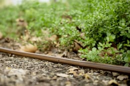 Lifestyle: RAIN BIRD® Tropfschlauch XF SDI 16 mm, für unterirdische Bewässerung