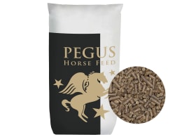 Produktbild: Pegus Mineral Natur getreidefreies, melassefreies Mineralfutter für Pferde