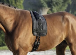 Lifestyle: KERBL Longierunterlage 110 x 28 cm