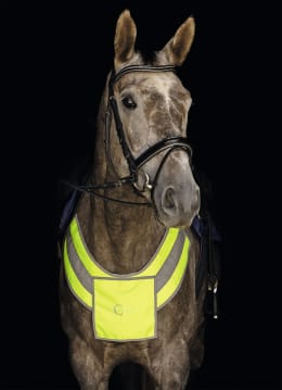 Produktbild: KERBL Vorderzeug Reflex für Pony bis Warmblut