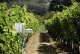 Lifestyle: METOS® Wetterstation Basic 4 mit 4 Sensoren und Stationsmast zzgl. Servicevertrag