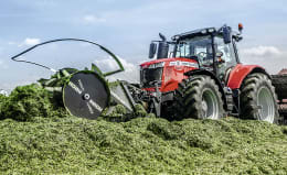 Lifestyle: RECK Silowalze Jumbo II