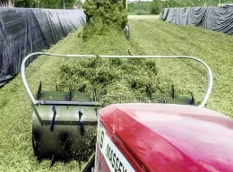 Lifestyle: RECK Silowalze Plantar