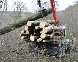 Lifestyle: Noe Forsttraktor NF 160-6R 6-Rad