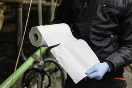 Lifestyle: KERBL Euterpapier UdderoClean 240 x 230 mm 2 Rollen/200 Blatt, mit Kartonkern, 1579