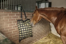 Lifestyle: Pferd frisst Heu aus einer Heutasche mit Netz, die an der Stallwand hängt