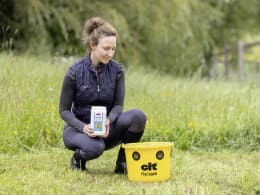 Lifestyle: cit® Fliegenfalle FlyCage6 6 l für den Außenbereich