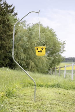 Lifestyle: cit® Fliegenfalle FlyCage6 6 l für den Außenbereich