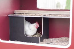 Lifestyle: KERBL Hühnerstall MobileCoop Holz mit erhöhtem Aufbau und Rollen, 113 x 92 x 138 cm