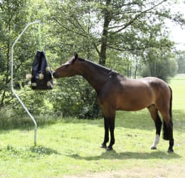 Lifestyle: KERBL Bodenhalter für Bremsenfalle TaonX, Fliegenfalle FlyCage, Heunetz, Futtersack Hay Bag uvm.