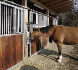 Lifestyle: KERBL Kratzbürste Texas Bürsten 500 x 100 mm, für Bullen, Kälber, Rinder, Pferde, Ponys, Schafe, Ziegen