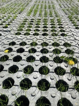 Lifestyle: INB® Paddockplatte 50 x 50 x 5,3 cm, 1 St. für Tierhaltung, Garten- und Landschaftsbau und Bauwesen