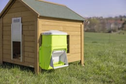 Lifestyle: SmartCoop Aufsatz für Futterautomat, Fassungsvermögen 7,5 kg