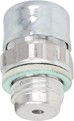 Produktbild: Posch® Belüftungsschraube 1/4'' AG für Holzspalter HomeSplit, SpaltAxt, Spalthammer, Brennholzsäge EasyCut 700