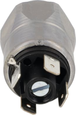 Produktbild: Posch® Druckschalter für Stundenzähler Holzspalter HydroCombi 15/17, 24