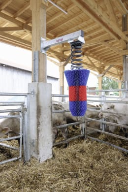 Lifestyle: HappyCow Kuhbürste FlexiSwing