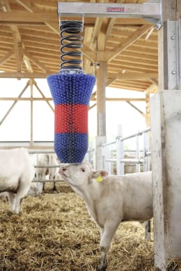 Lifestyle: HappyCow Kuhbürste FlexiSwing