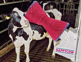 Lifestyle: HappyCow Kuhputzmaschine Happycow Uno