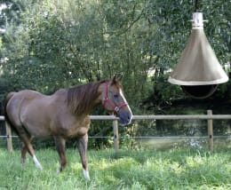 Lifestyle: KERBL Bremsenfalle TaonX Eco