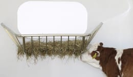 Lifestyle: KERBL Heuraufe 113 x 38 x 38 cm, Wandmontage, für Kälber, Kälberiglus