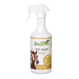 Produktbild: Stiefel Top Shine praktische Sprühpflege
