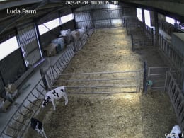 Lifestyle: LUDA.FARM IP-Kamera FarmCam Flex 5MP für die Überwachung von Ställen und Hofbereichen