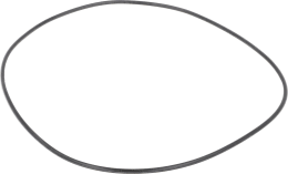 Produktbild: Fendt O-Ring 114 x 1,6 mm, für Zylinderlaufbuchse Traktor Farmer 300, Favorit 500, 600