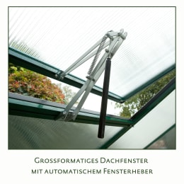 Lifestyle: KGT Gewächshaus mit automatischem Fensterheber am geöffneten Dachfenster