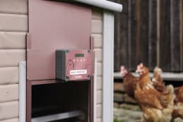Lifestyle: KERBL Hühnerklappe Easy Protect 28,5 x 25 cm Set mit Steuerung und Schienen für Geflügelställe, rosé, 70590-ROSE