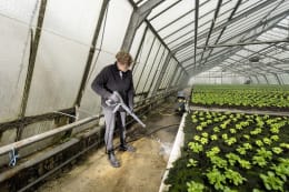 Lifestyle: Kärcher® Hochdruckreiniger HD 4/11 C Bp Akku, Kaltwasser, mit 2 Akkus und Ladegerät