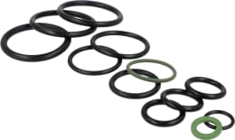 Set: Birchmeier® Dichtungssatz für Pumpe und Behälter Flox AT1, AT2, AT3, Iris AT1, AT2, AT3