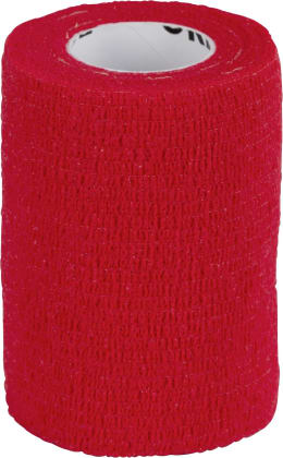 ART_PrimaryImage