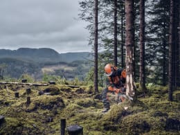 Lifestyle: Husqvarna® Benzin-Kettensäge 540 XP® Mark III 1,9 kW (2,6 PS) Schienenlänge 38 cm, ohne Kanister, 9707930-15