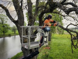 Lifestyle: Husqvarna® Benzin-Kettensäge 540 XP® Mark III 1,9 kW (2,6 PS) Schienenlänge 38 cm, ohne Kanister, 9707930-15