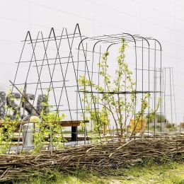 ART_AdditionalAssets