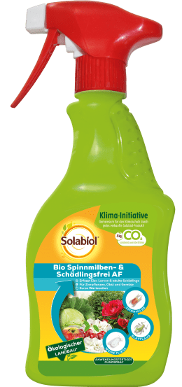 Produktbild: Solabiol Bio Spinnmilben- & Schädlingsfrei AF