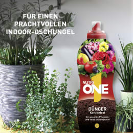 Lifestyle: NutriONE Universaldünger NPK 5,5+5+7,5