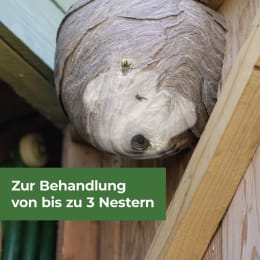 ART_AdditionalAssets