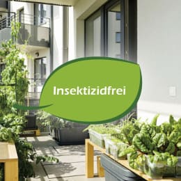 ART_AdditionalAssets