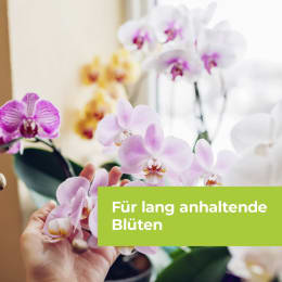 ART_AdditionalAssets