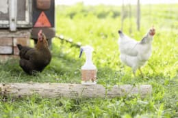 Lifestyle: ida plus® Reinigungsmittel MiteCleaner 500 ml mit Sprühflasche für Geflügelstall