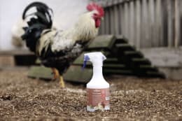Produktbild: ida plus® Reinigungsmittel MiteCleaner 500 ml mit Sprühflasche für Geflügelstall