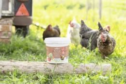 Lifestyle: ida plus® Milbenpulver MitePowder 250 g für die Bekämpfung roter Vogelmilben und anderer kriechenden Insekten