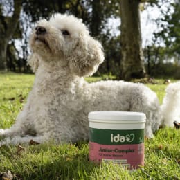 Produktbild: ida plus® Ergänzungsfuttermittel Junior-Complex 400 g für Welpen