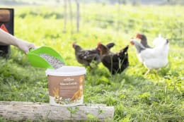 Lifestyle: ida plus® Ergänzungsfuttermittel Mineral Grit Mix 5 kg für Hühner, Küken, Wachteln, Geflügel