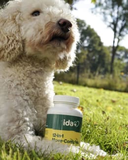 Produktbild: ida plus® Ergänzungsfuttermittel 12-in-1 Move-Complex 160 g für Hunde, Welpen