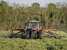 Lifestyle: Massey Ferguson Schwader MF RK Gen2 4 Kreisel, Schwad mittig