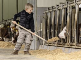 Lifestyle: KERBL Aluschaufel Mini Breite 26 cm, für Kinder ab 5 Jahren