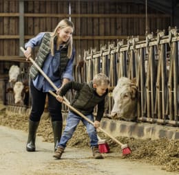 Lifestyle: KERBL Straßenbesen Mini Breite 31 cm, für Kinder ab 5 Jahren